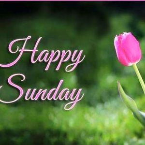 Happy Sunday